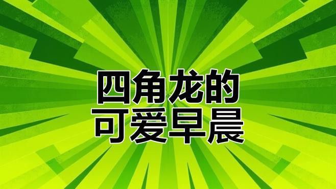 六角海龍和四角龍魚哪個更稀有？
