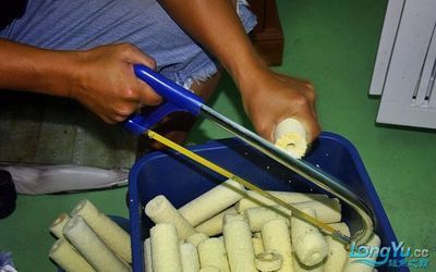 龍魚魚缸濾材多久更換一次：龍魚魚缸水質檢測方法
