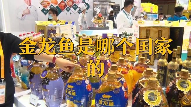 金龍魚的主要出口國家有哪些？