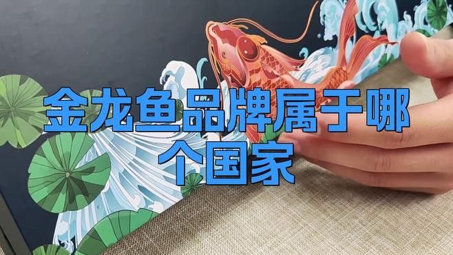 金龍魚的主要出口國家有哪些？