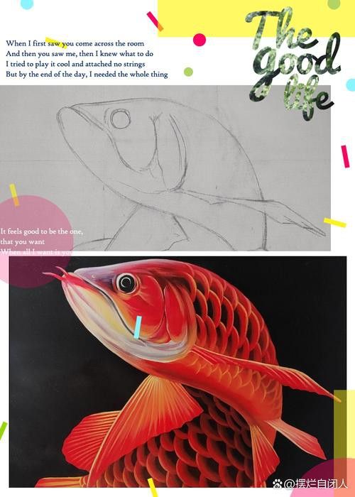 大紅龍魚圖片高清壁紙可愛動漫 大紅龍魚圖片高清壁紙可愛動漫 龍魚百科 第4張