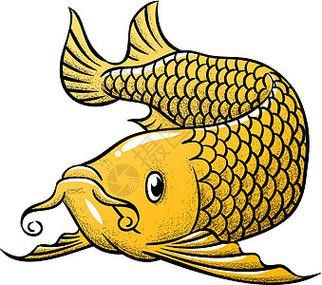 大紅龍魚圖片高清壁紙可愛動漫 大紅龍魚圖片高清壁紙可愛動漫 龍魚百科 第13張