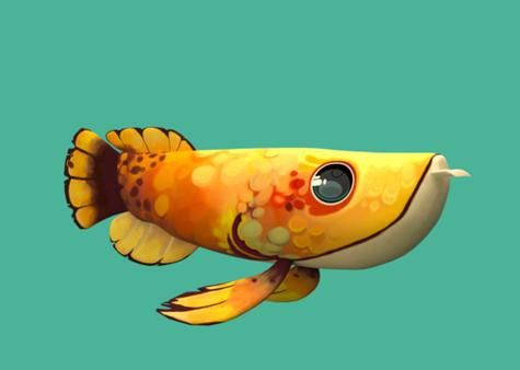 大紅龍魚圖片高清壁紙可愛動漫 大紅龍魚圖片高清壁紙可愛動漫 龍魚百科 第21張