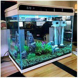 閩江魚缸優(yōu)缺點 龍魚百科 第2張 閩江魚缸優(yōu)缺點 閩江魚缸優(yōu)缺點 龍魚百科 第2張