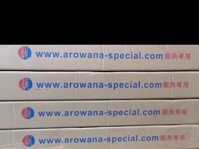 龍魚多久發色：關于龍魚發色時間的詳細信息