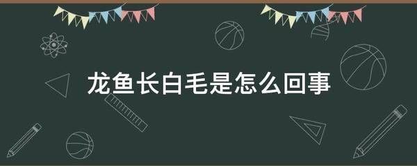 龍魚長白毛棉絮狀（龍魚身上出現白毛棉絮狀物怎么辦）