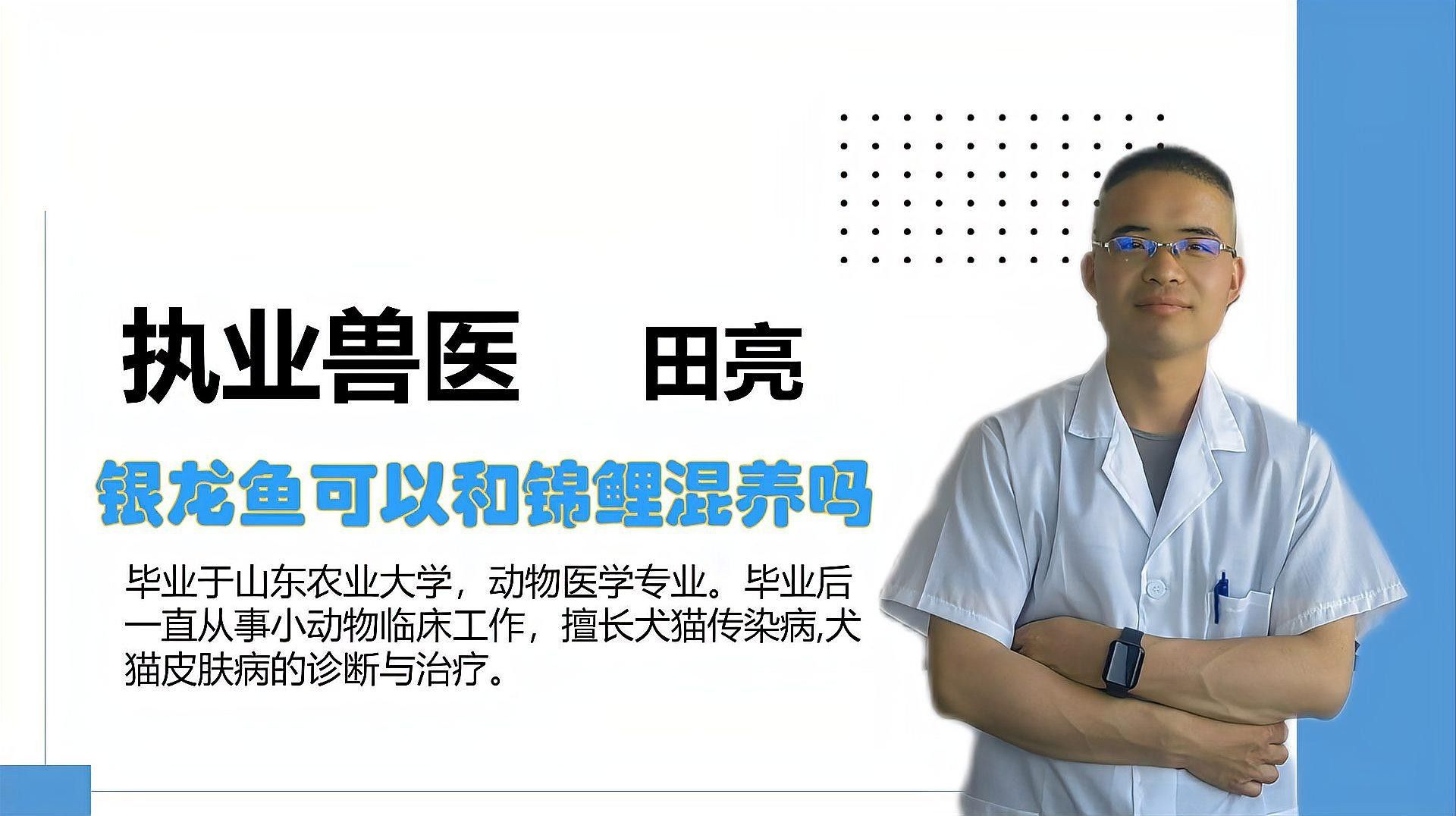 銀龍魚鸚鵡魚和什么魚混養比較好