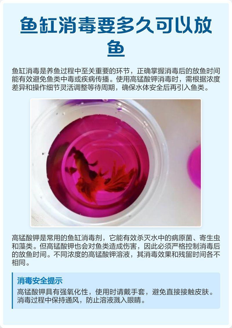 魚缸消毒后多久可以放魚？