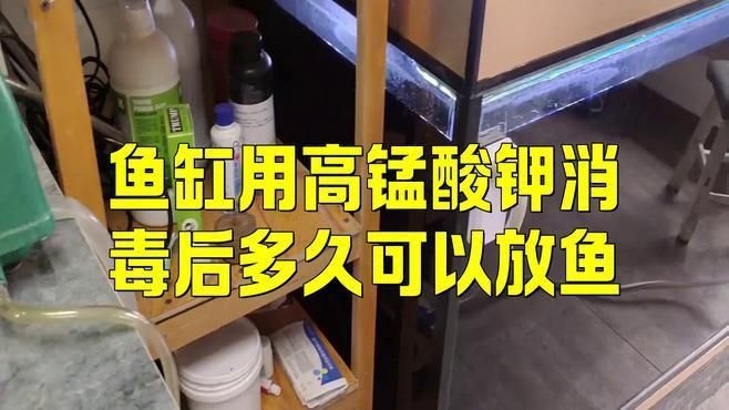 魚缸消毒后多久可以放魚？