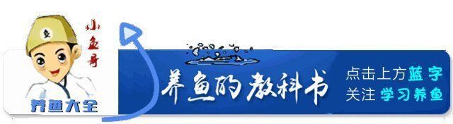 魚缸消毒后多久可以放魚？