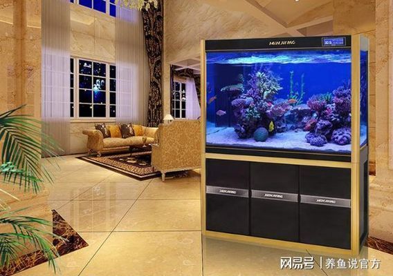 龍魚缸過濾系統設計（龍魚缸溢流區設計）