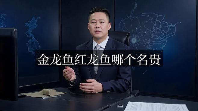 金龍和紅龍哪個品種最稀有？