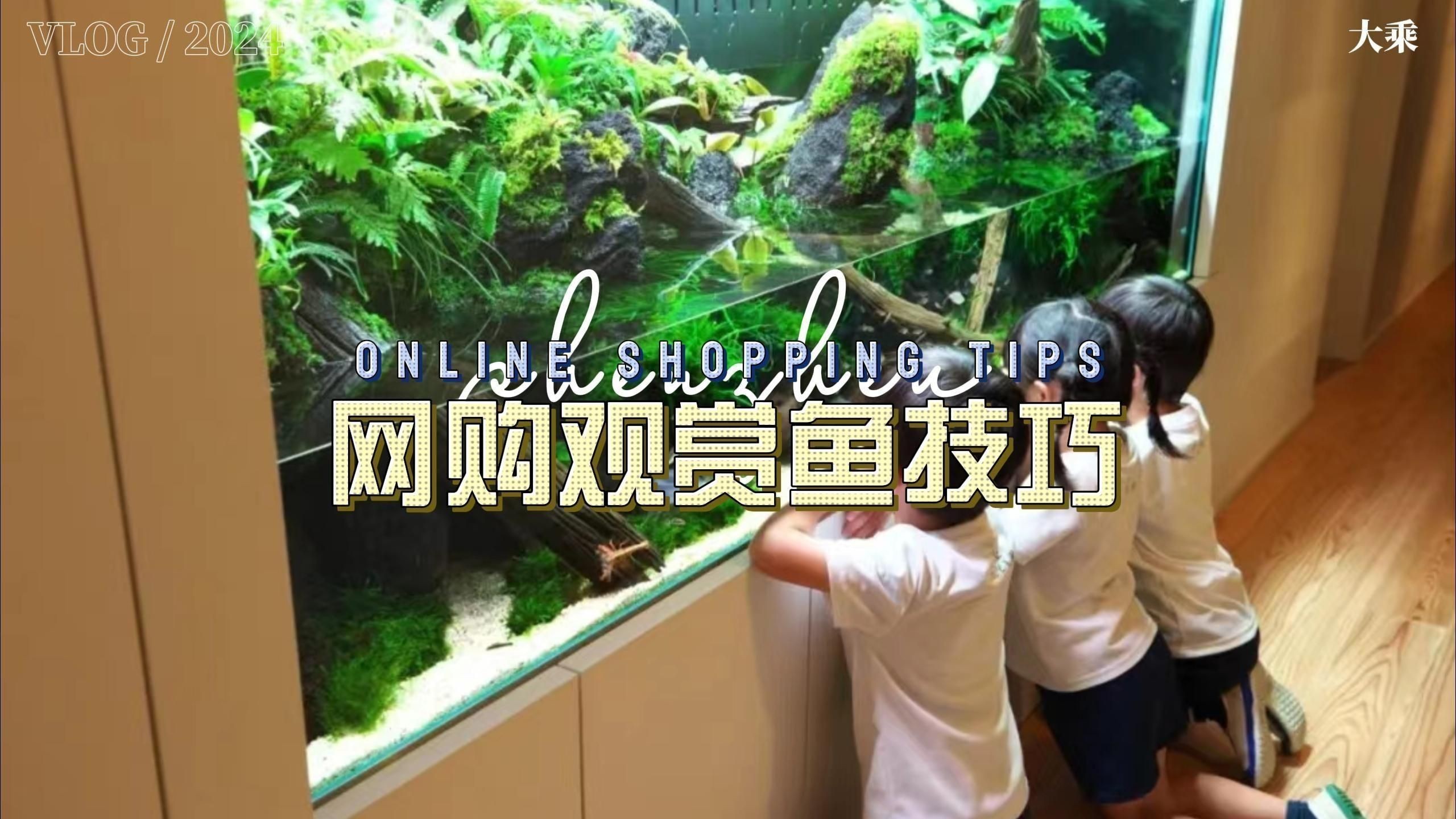 線上購買觀賞魚注意事項