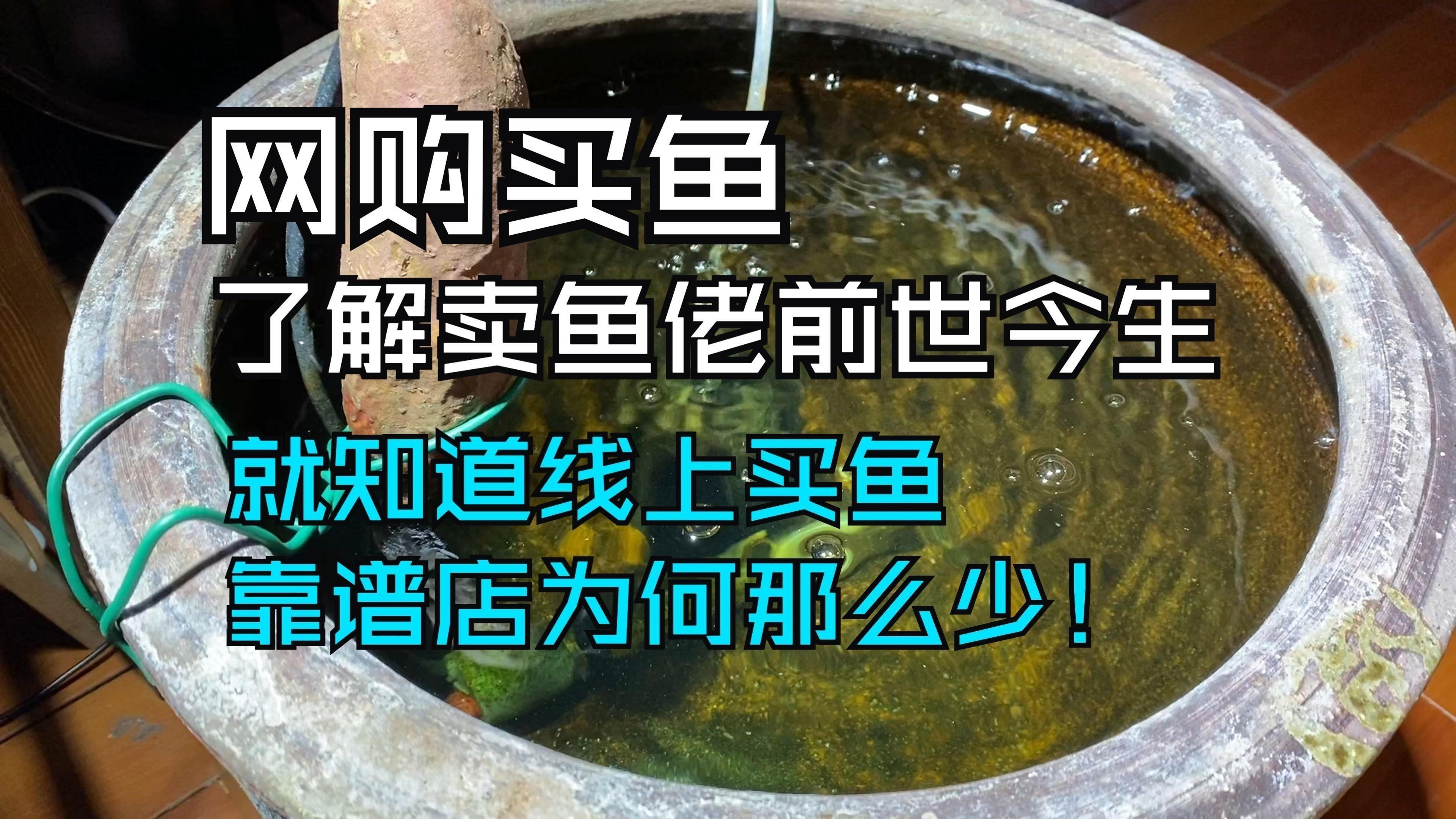 線上購買觀賞魚注意事項