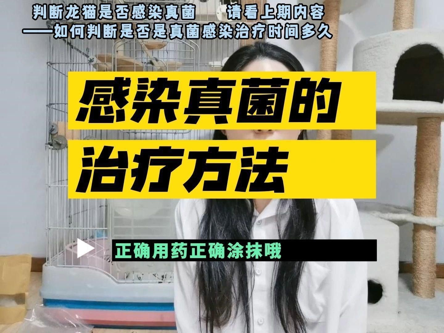 龍貓真菌感染如何治療