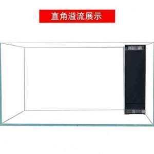 龍魚缸改龜缸好不好用：龍魚的魚缸改造成龜缸改造成龜缸之前需要了解龜的生態環境需求