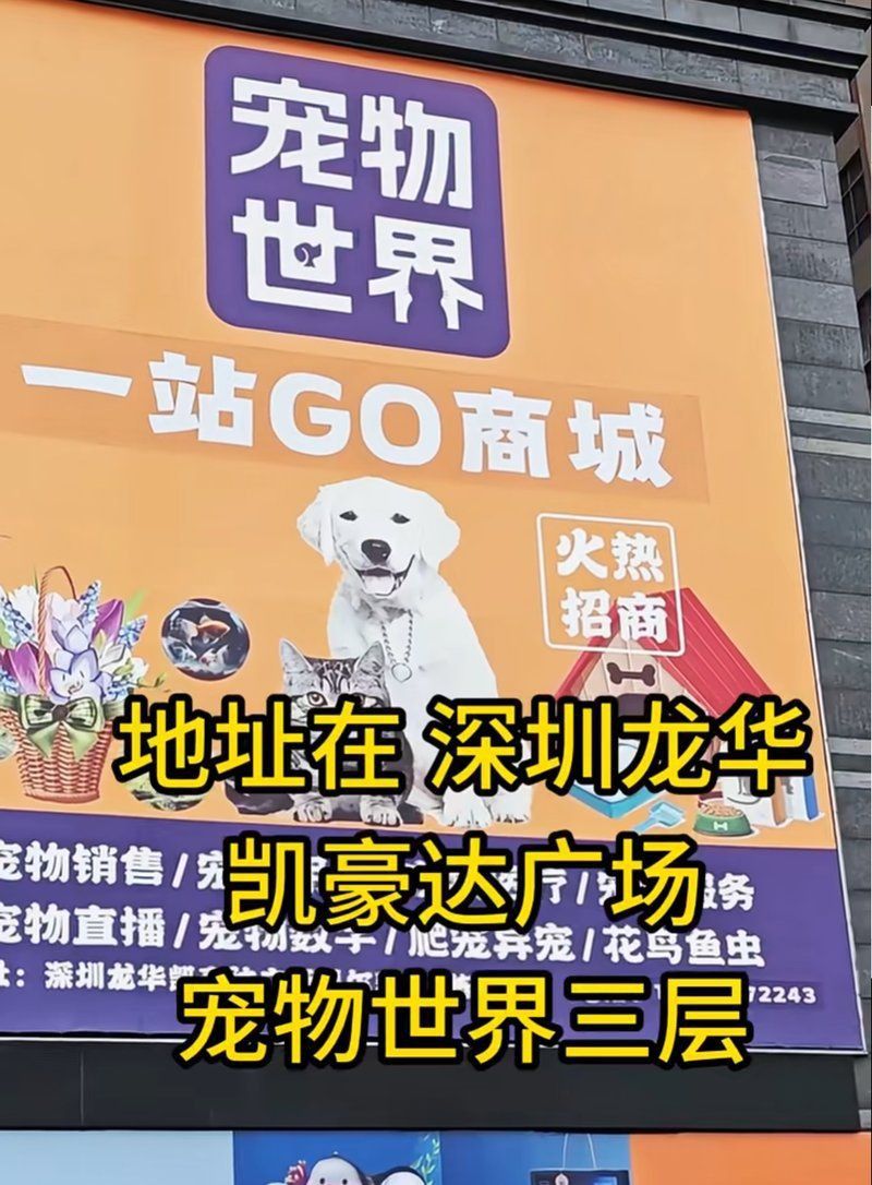 龍華寵物市場一條街