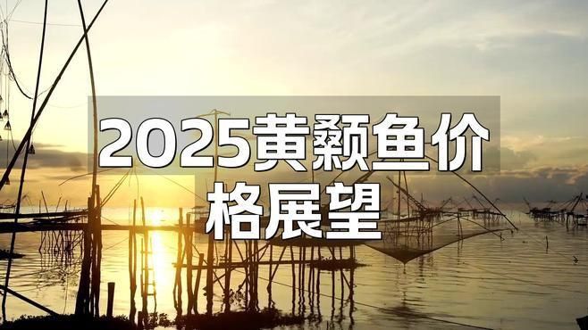 哪些魚類的價格正在上漲？