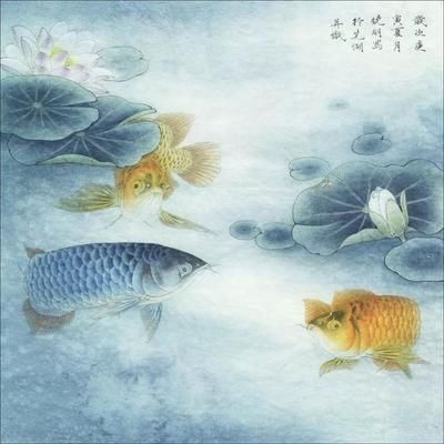 金龍魚圖畫大全大圖高清無水印（關(guān)于金龍魚圖畫大全大圖高清無水印的具體信息）
