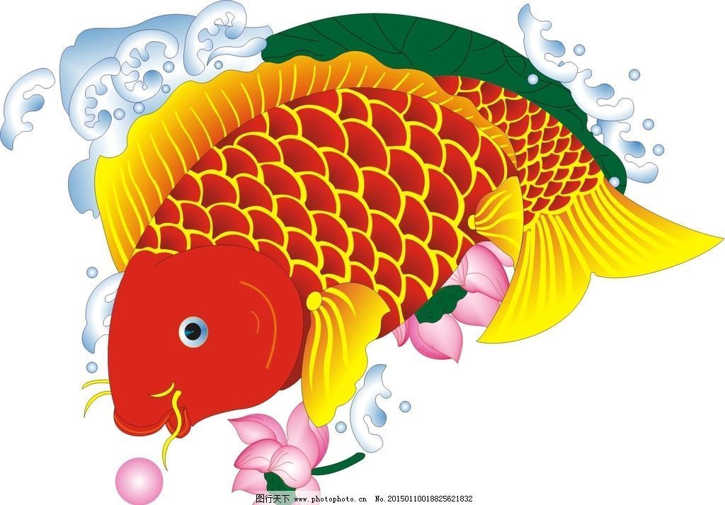 金龍魚圖畫大全大圖高清無水印（關(guān)于金龍魚圖畫大全大圖高清無水印的具體信息）