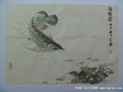 金龍魚圖畫大全大圖高清無水印（關(guān)于金龍魚圖畫大全大圖高清無水印的具體信息）