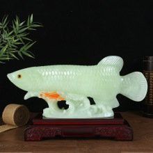 招財金龍魚多少錢一條啊