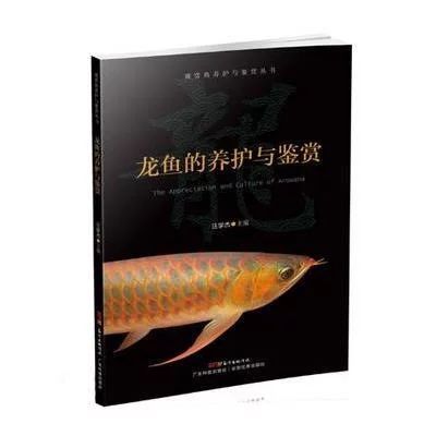 龍魚的鑒賞標準有哪些內容和特點：龍魚的鑒賞標準