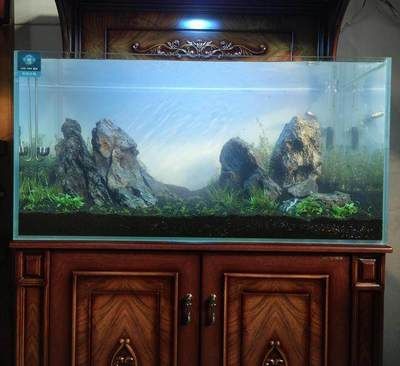 龍魚缸改草缸怎么改溢流管：印度養魚高手教你如何設置魚缸底濾的溢流管安裝