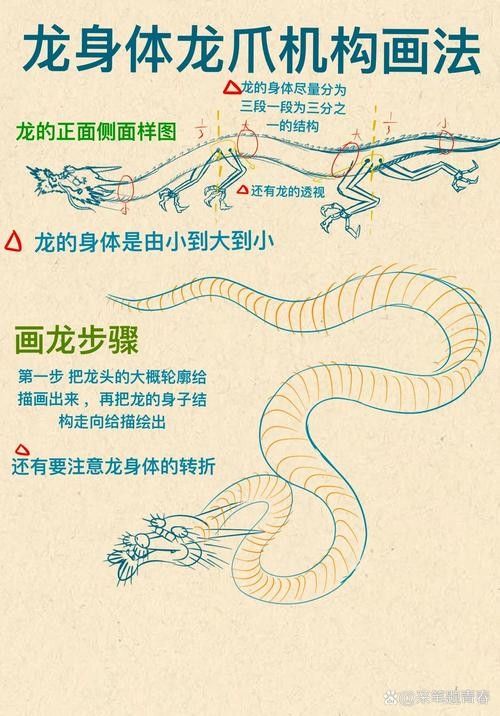 龍魚的高背和過背怎么區分呢圖解