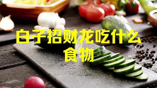 如何自制白子招財龍飼料？