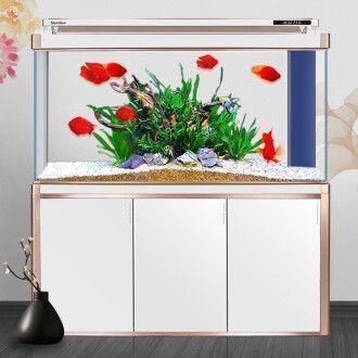 高端龍魚缸品牌排行榜：高端龍魚缸品牌排行
