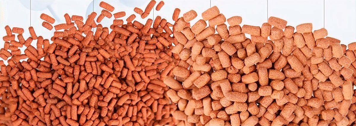 推薦一些更便宜的紅龍魚替代品 推薦一些更便宜的紅龍魚替代品 龍魚百科 第11張