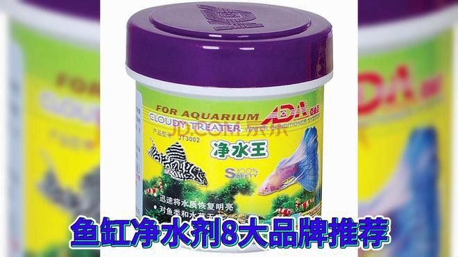 如何清潔和維護魚缸龍擺件？