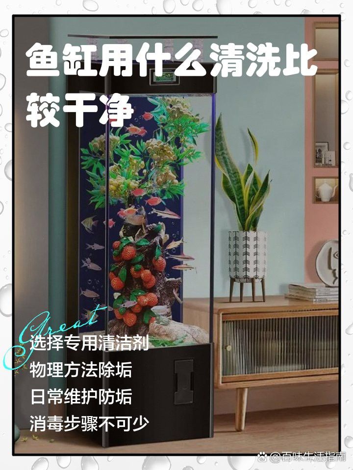 如何清潔和維護魚缸龍擺件？