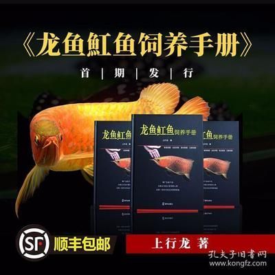 龍魚(yú)魟魚(yú)飼養(yǎng)手冊(cè)怎么樣：《龍魚(yú)魟魚(yú)飼養(yǎng)手冊(cè)》龍魚(yú)魟魚(yú)飼養(yǎng)新概念介紹
