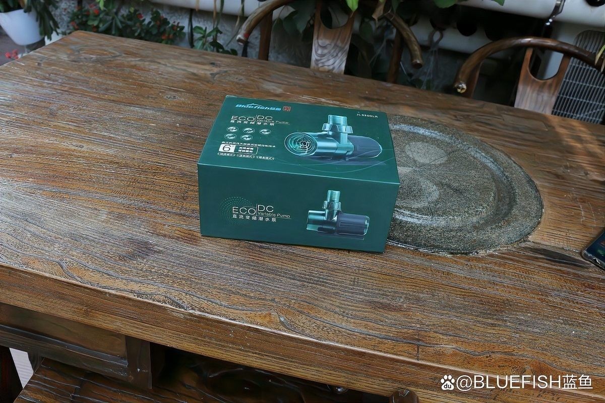 魚缸白色背景可以養龍魚嗎