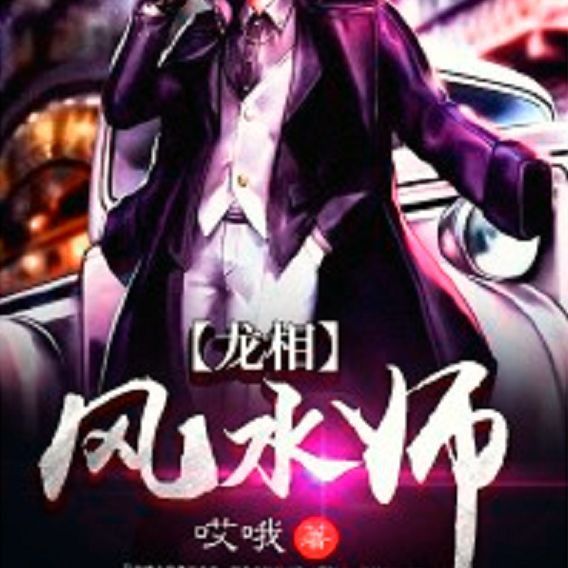 《龍相風水師》的主要情節(jié)是什么？
