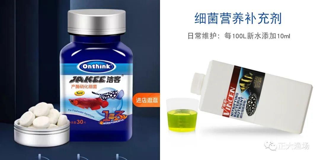 紅龍魚怎么調理狀態好：紅龍魚怎么調理狀態好紅龍魚狀態調理方法