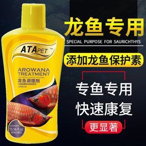 紅龍魚怎么調理狀態好：紅龍魚怎么調理狀態好紅龍魚狀態調理方法