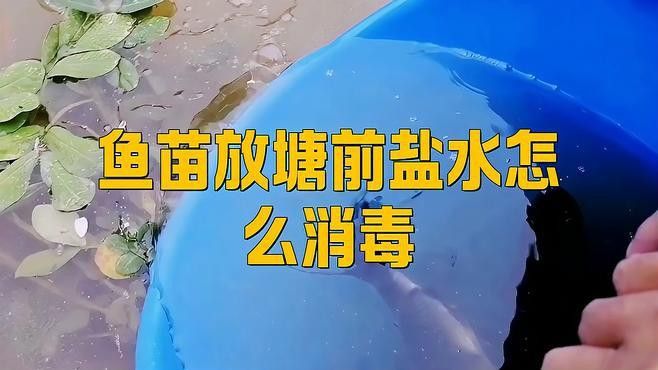 紅龍魚苗換水后如何消毒？