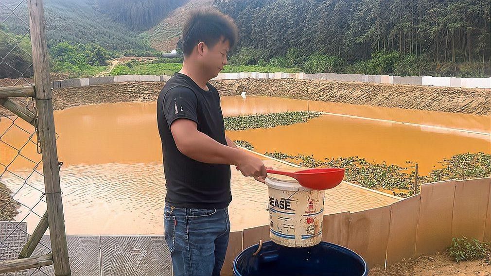 紅龍魚苗換水后如何消毒？