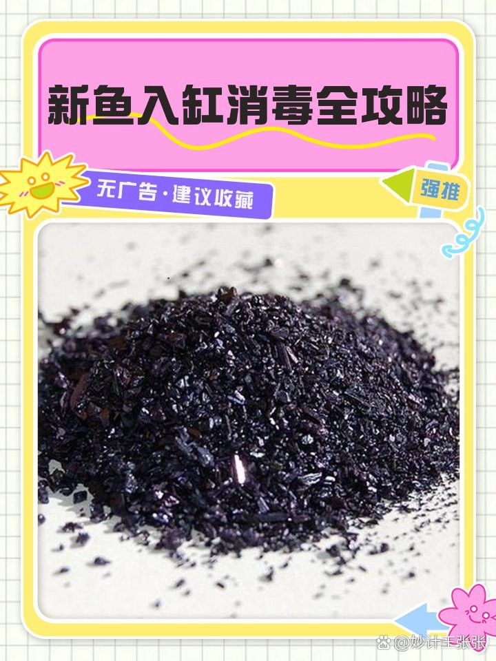 紅龍魚苗換水后如何消毒？