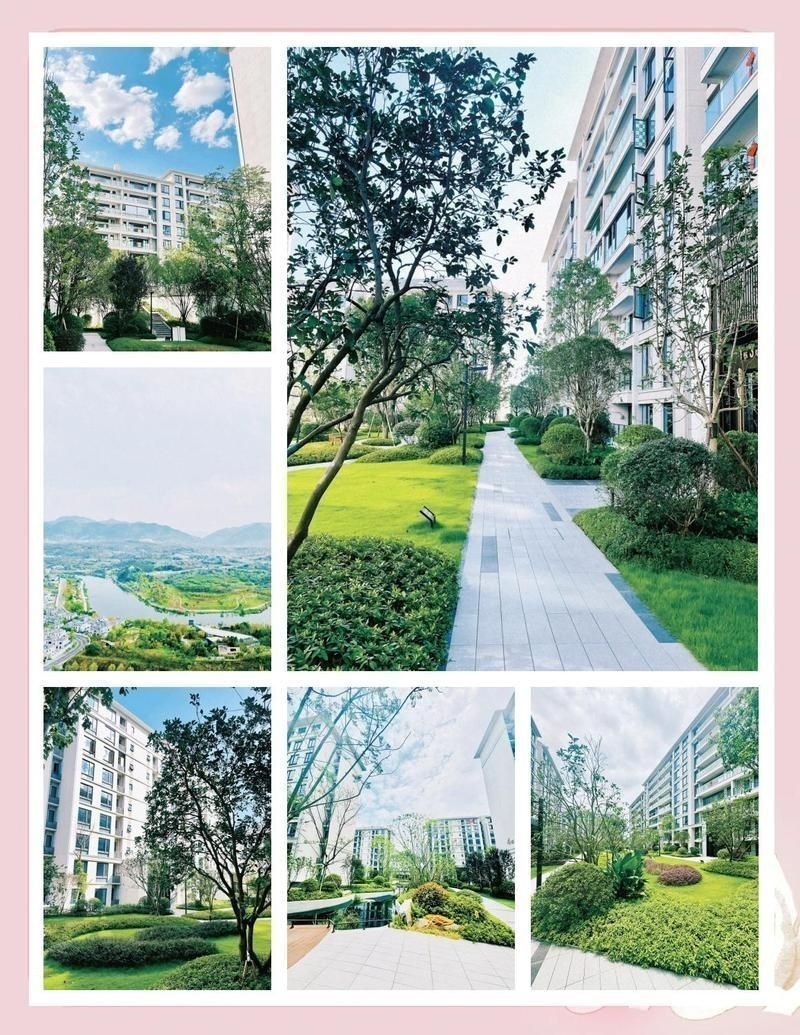 龍興未來發(fā)展好不好