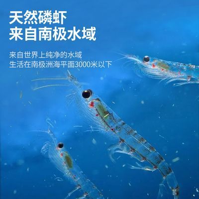 龍魚喂凍蝦有什么注意事項：喂食龍魚凍蝦時需要注意哪些問題？