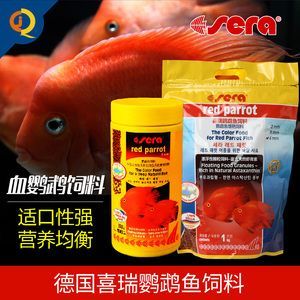 龍魚能不能吃蝸牛殼：龍魚能不能吃蝸牛？深入探討龍魚的飲食選擇