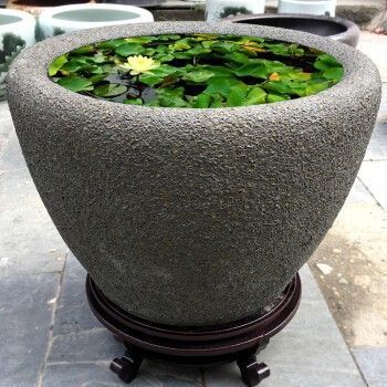 龍魚風水缸怎么搭配好：如何選擇龍魚風水缸 龍魚風水缸怎么搭配好：如何選擇龍魚風水缸 龍魚百科