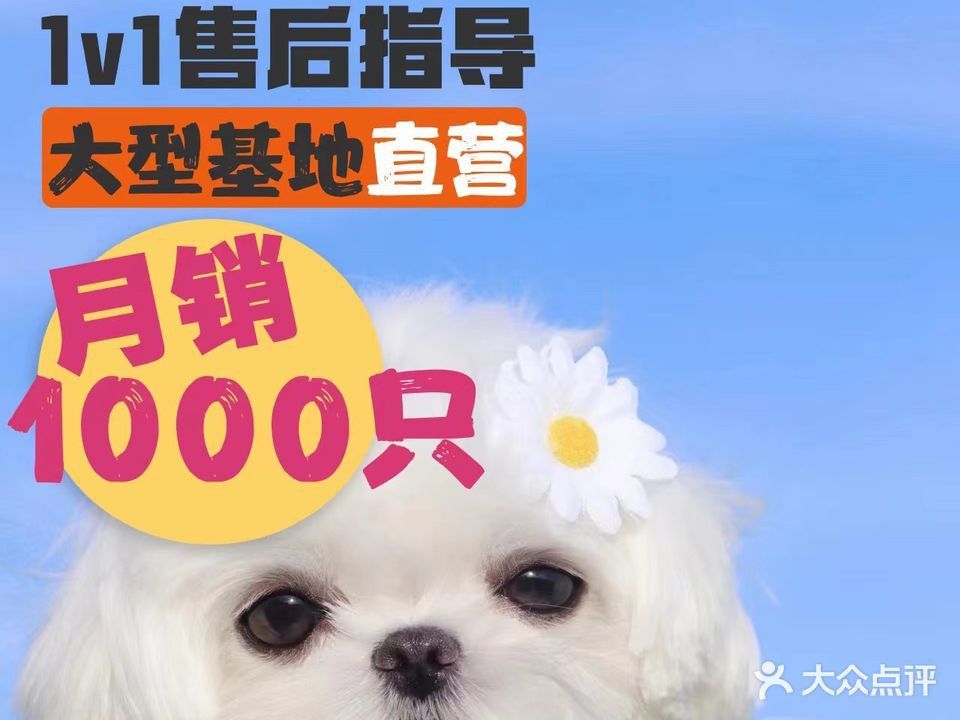 無錫龍魚寄養基地地址