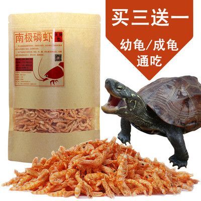 龍魚 烏龜糧：適合龍魚和烏龜的飼料品牌