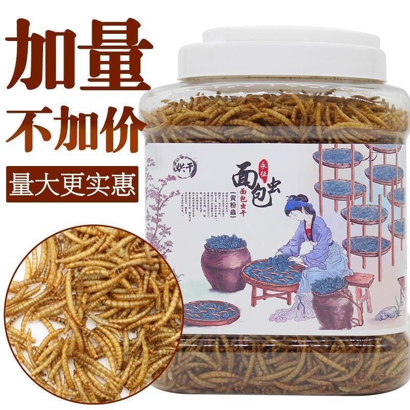 龍魚 烏龜糧：適合龍魚和烏龜的飼料品牌