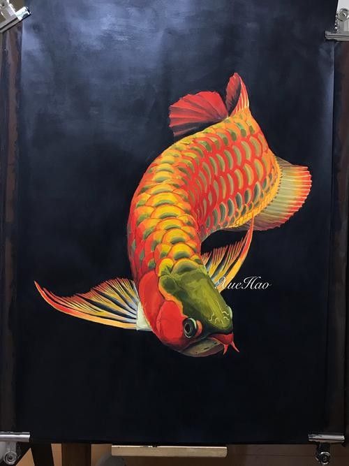 龍魚背景圖片大全高清可愛動漫